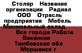 Столяр › Название организации ­ Радиал, ООО › Отрасль предприятия ­ Мебель › Минимальный оклад ­ 30 000 - Все города Работа » Вакансии   . Тамбовская обл.,Моршанск г.